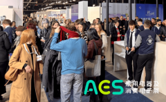 对于中国消费电子出海企