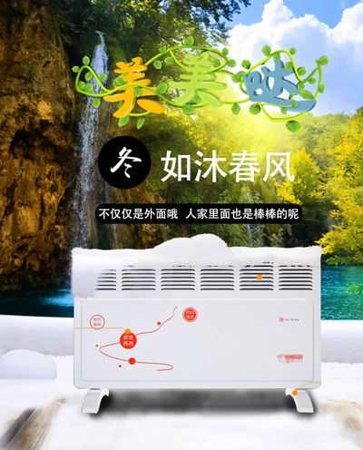 种植大户张兵管理着十几亩蔬菜大棚