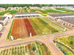 “这套从泥土里‘长’出